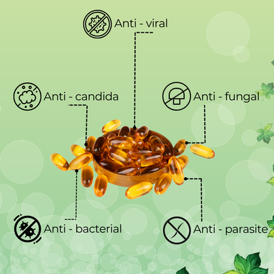 Aurove Oil of Oregano with Black Seed Oil