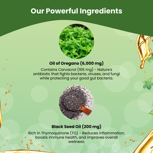 Aurove Oil of Oregano with Black Seed Oil