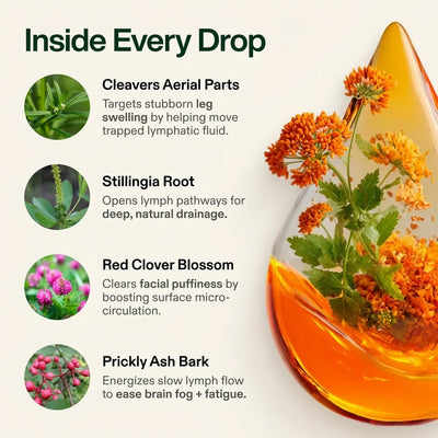 Lymphatic Drainage Drops