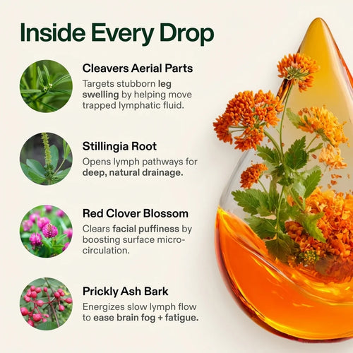 Lymphatic Drainage Drops