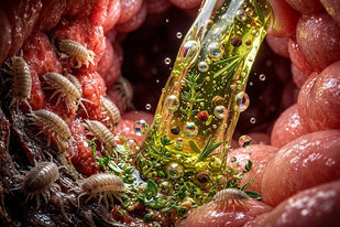 Break the Parasite Lifecycle For Good